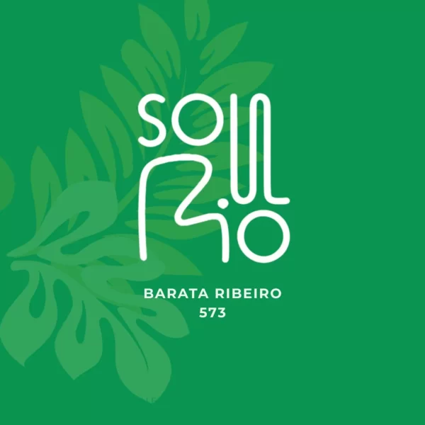 Soul-Rio-Barata-Ribeiro-scaled