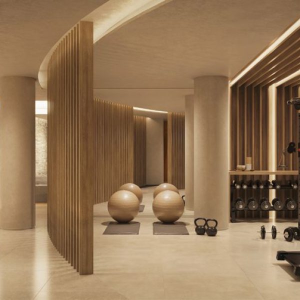 academia-fitness-design-arti-leblon.jpg